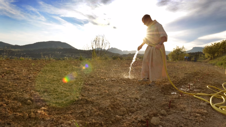 Monk watering the lawn.